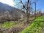Immagine 15