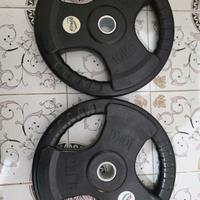 4 dischi gommati 2 da 10 ed 2 da 2.5 C/U Donatif