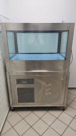 Acquario professionale per ristoranti e pizzerie