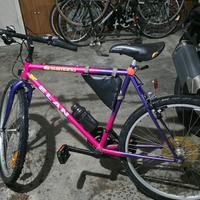 Bici Mountain bike 