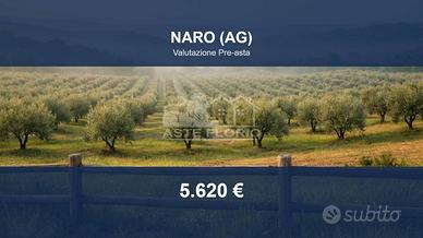 Immobile in asta di 8470 m² a Naro