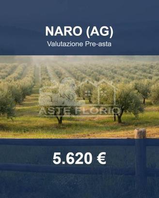 Immobile in asta di 8470 m² a Naro