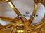 Immagine 13