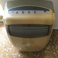 Climatizzatore mobile