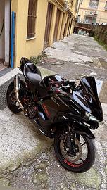 kawasaki ninja 500 (2024)