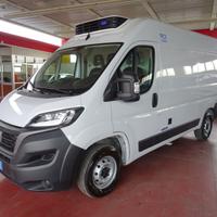 FIAT Ducato 35Q 2.2 Mjt 140CV PM-TM FRIGO FRCX -