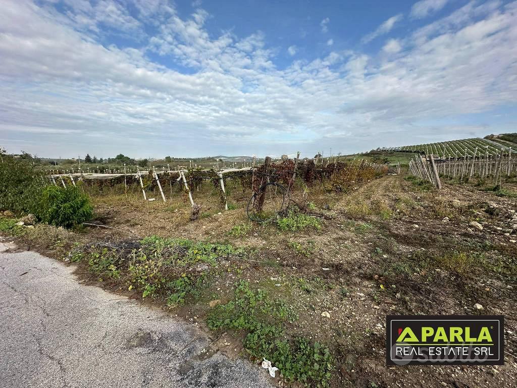 Terreno di 13000 m² a Canicattì - Vista 3