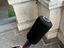 Immagine 3