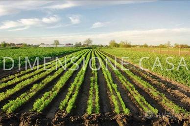 Terreno di 3347 m² a Mirandola
