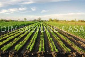 Terreno di 3347 m² a Mirandola