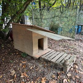 Casetta in legno per cane