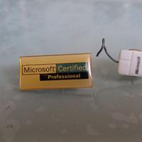 Spille vintage Microsoft