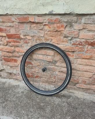 Ruota anteriore 26 x 1.75
