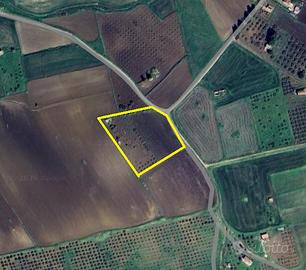 Terreno Agricolo Joppolo Giancaxio [AG977VCG]