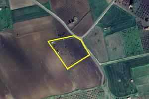 Terreno Agricolo Joppolo Giancaxio [AG977VCG]