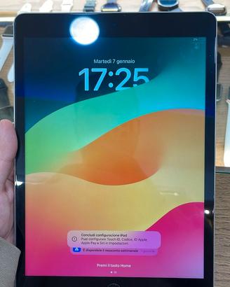 Apple iPad 9 silver 256 GB - 7910