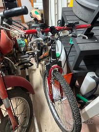 mountain bike originale