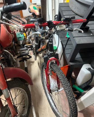 mountain bike originale