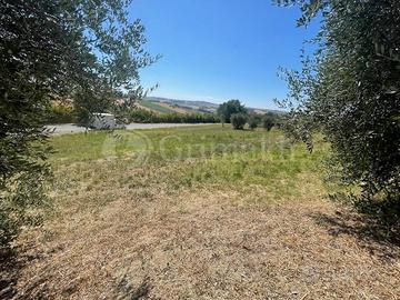 Casa Indipendente Jesi [Cod. rif 11934VRG]