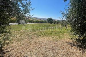 Casa Indipendente Jesi [Cod. rif 11934VRG]