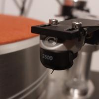 GOLDRING 2500 Cartridge

Testina MM Top di gamma