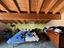 Immagine 29