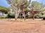 Immagine 26