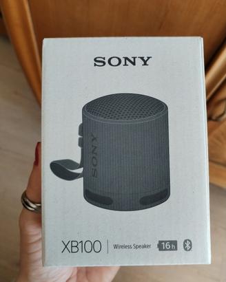 Sony speaker SRS-XB100