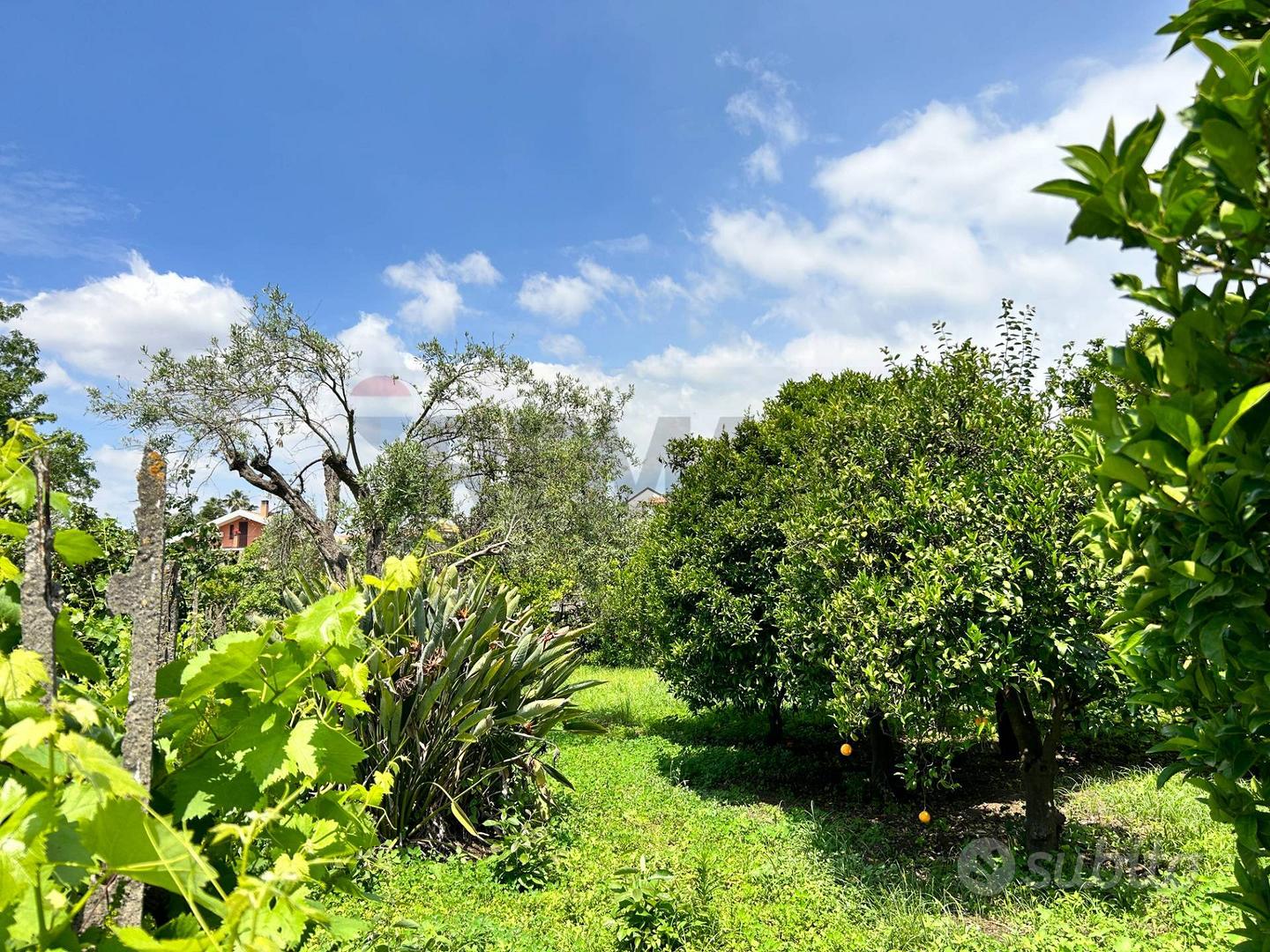 Terreno - Aci Sant'Antonio - Altro