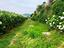 Immagine 23
