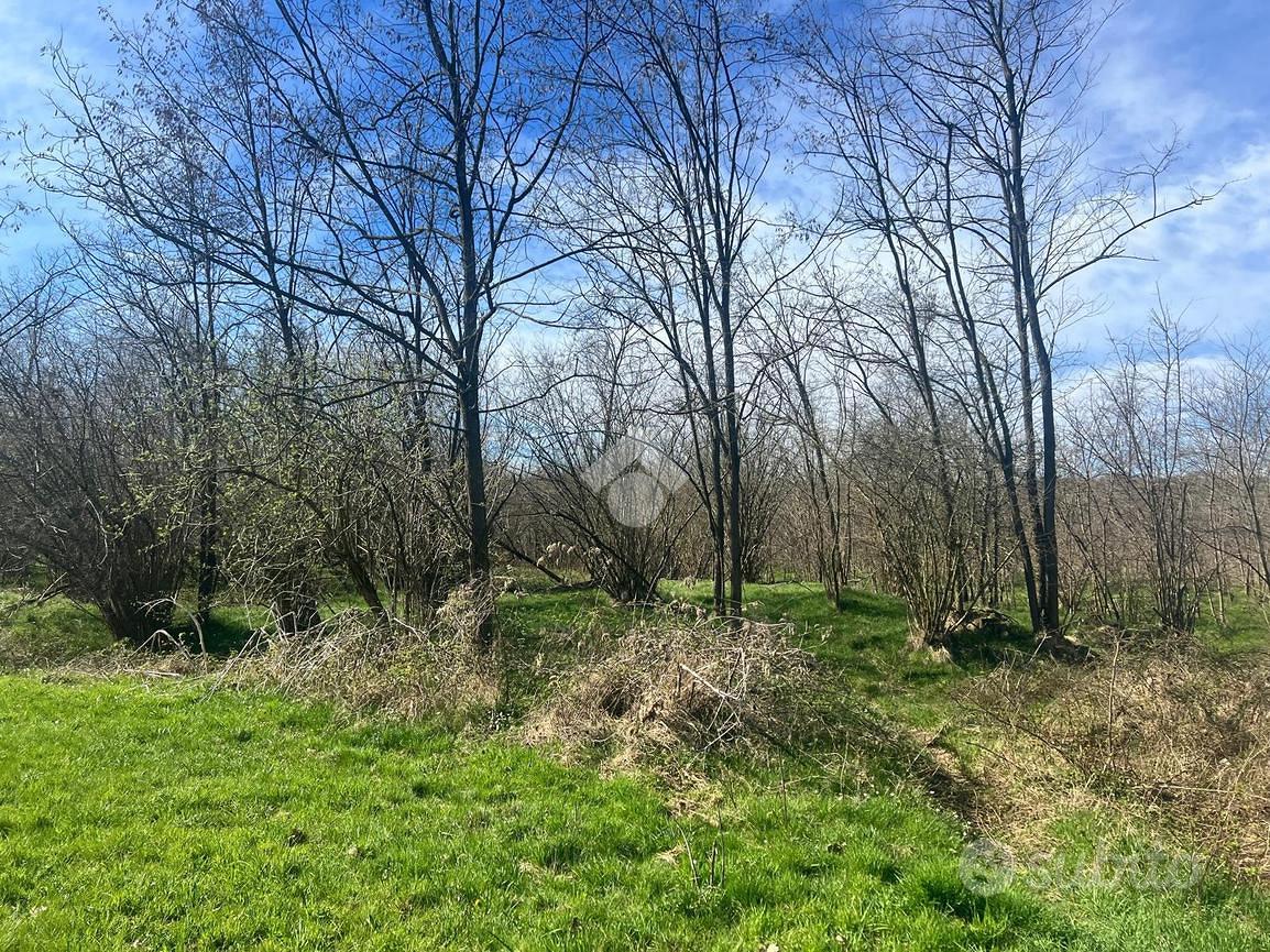 TER. AGRICOLO A CERRIONE - Altro