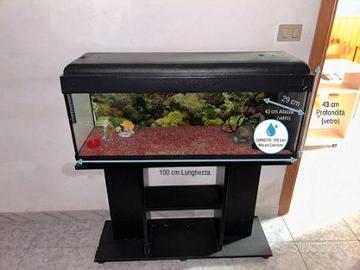 Acquario completo con mobile nero in perfette cond