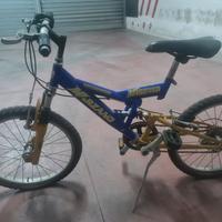 bicicletta 