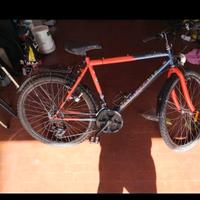 bici  buona 