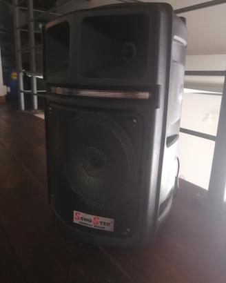 cassa bluetooth karaoke 