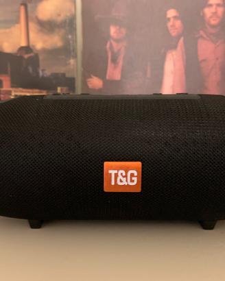 T&G cassa bluetooth portatile e radio