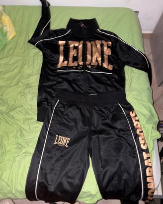 Tuta leone