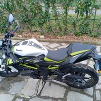 Kawasaki Z 125 - 2022