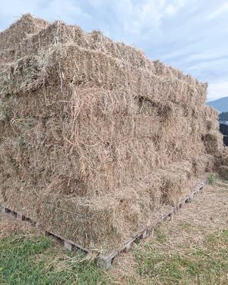 balle di fieno