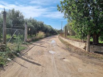 AGRUMETO in c.da PANTANO (TA)