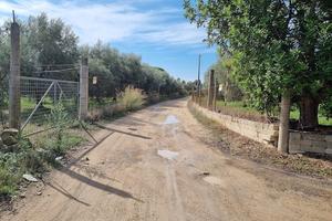 AGRUMETO in c.da PANTANO (TA)