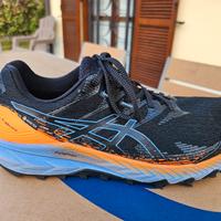 Asics GEL-Trabuco 10 GTX n°46,5