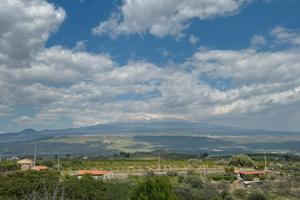 Terreno agricolo con villetta