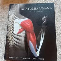Anatomia umana martini timmons