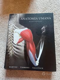 Anatomia umana martini timmons