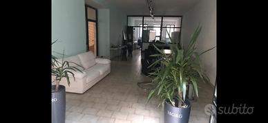 Commerciale C1 di 120 metri quadri