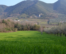 Terreni Sessa Aurunca