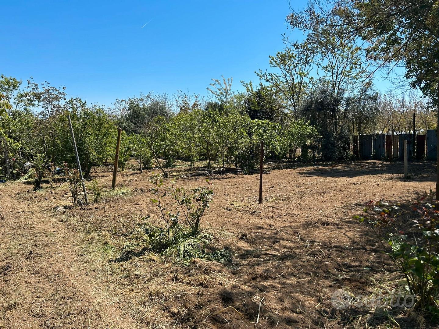 Terreno agricolo - Vista 3