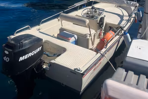 BOSTON WHALER 15