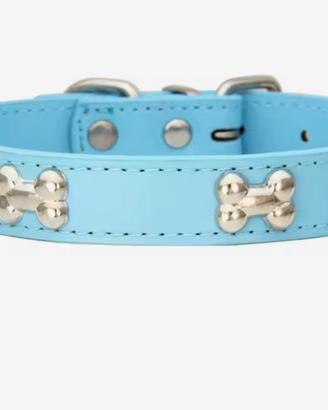 Collare color celeste nuovo
